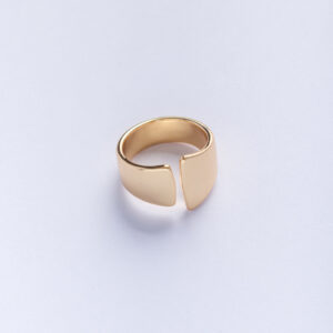 Anillo Minimalista