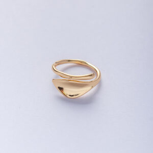 Anillo Hoja
